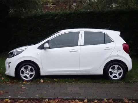 Used KIA PICANTO Petrol 2021 Ad 