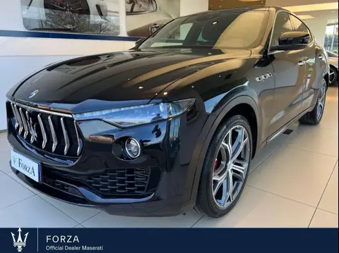 Used MASERATI LEVANTE Diesel 2019 Ad 