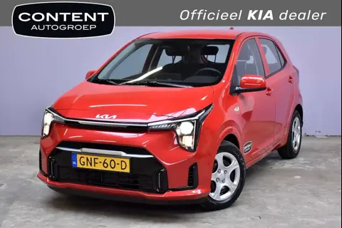 Used KIA PICANTO Petrol 2024 Ad 