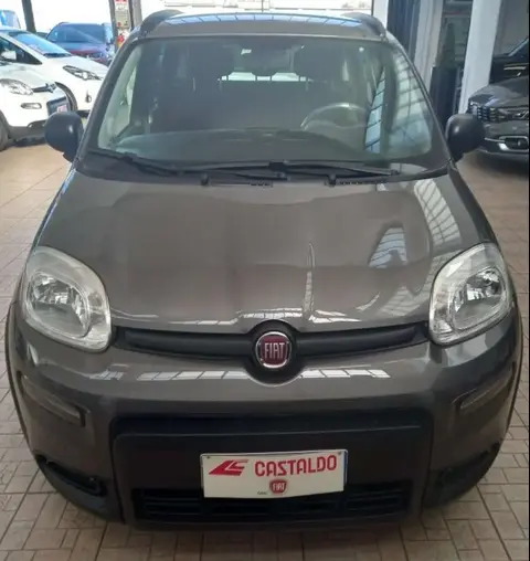 Annonce FIAT PANDA Hybride 2022 d'occasion 