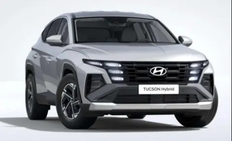 Annonce HYUNDAI TUCSON Hybride 2024 d'occasion 