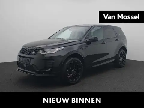 Annonce LAND ROVER DISCOVERY Essence 2024 d'occasion 