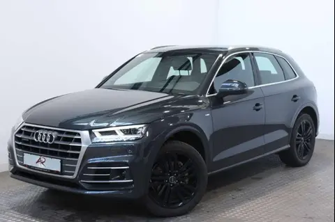 Used AUDI Q5 Petrol 2017 Ad 