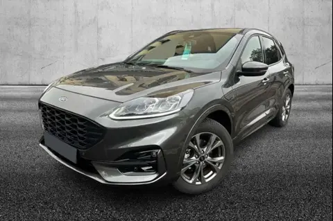 Used FORD KUGA Hybrid 2022 Ad 