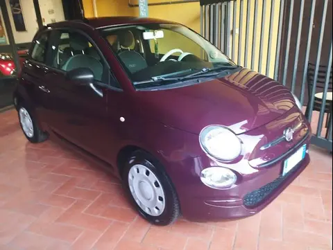 Used FIAT 500 LPG 2019 Ad 