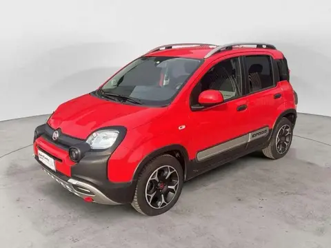 Used FIAT PANDA Hybrid 2021 Ad 