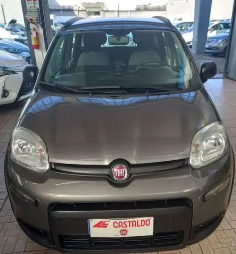 Used FIAT PANDA Hybrid 2022 Ad 