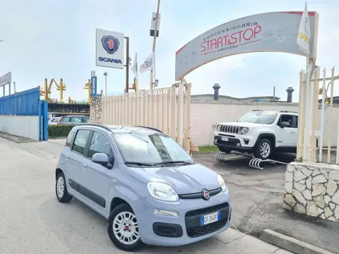 Used FIAT PANDA Hybrid 2021 Ad 