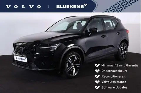 Used VOLVO XC40 Hybrid 2024 Ad 