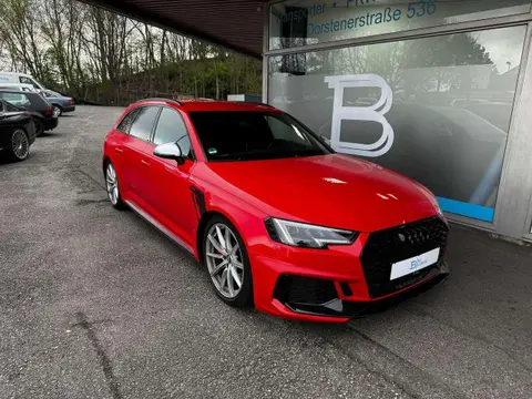 Used AUDI RS4 Petrol 2018 Ad Germany