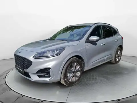 Used FORD KUGA Hybrid 2023 Ad 