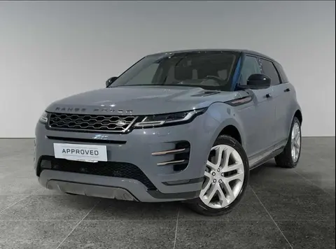 Used LAND ROVER RANGE ROVER EVOQUE Hybrid 2019 Ad 