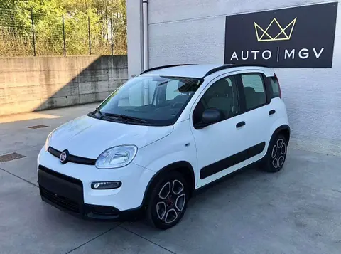 Annonce FIAT PANDA Hybride 2021 d'occasion 