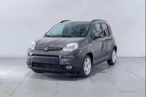 Used FIAT PANDA Hybrid 2023 Ad 