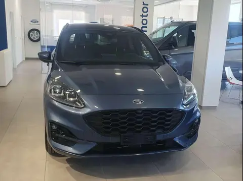 Annonce FORD KUGA Hybride 2023 d'occasion 