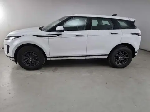 Used LAND ROVER RANGE ROVER EVOQUE Hybrid 2020 Ad 