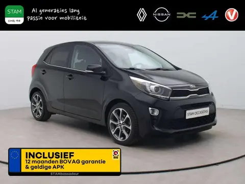 Used KIA PICANTO Petrol 2019 Ad 