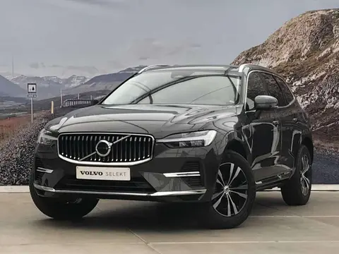 Annonce VOLVO XC60 Hybride 2023 d'occasion 