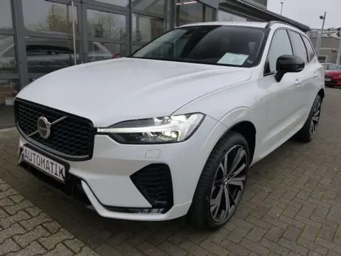 Used VOLVO XC60 Diesel 2023 Ad 