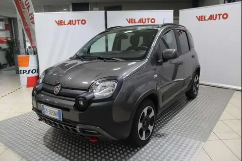 Used FIAT PANDA Hybrid 2023 Ad 