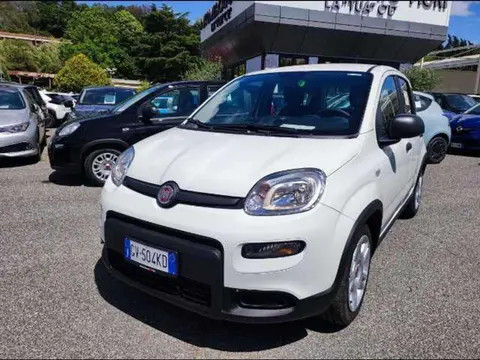 Used FIAT PANDA Hybrid 2024 Ad 