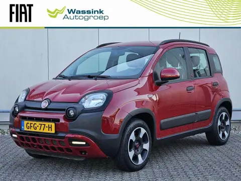 Used FIAT PANDA Hybrid 2024 Ad 