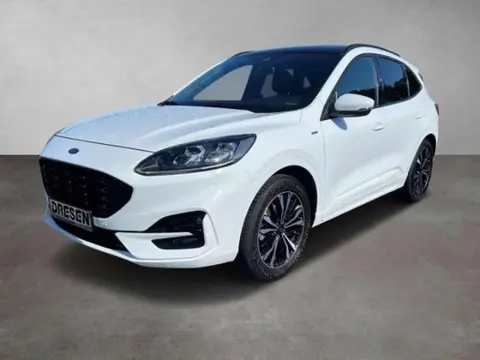 Used FORD KUGA Petrol 2021 Ad 