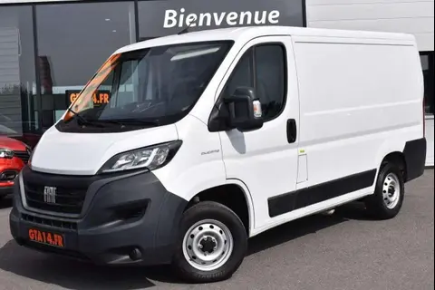 Annonce FIAT DUCATO Diesel 2021 d'occasion 