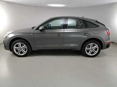 Used AUDI Q5 Hybrid 2023 Ad 