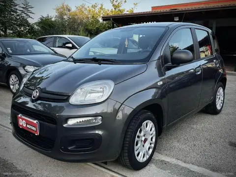 Annonce FIAT PANDA Essence 2018 d'occasion 