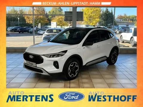 Used FORD KUGA Hybrid 2024 Ad 