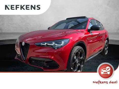 Annonce ALFA ROMEO STELVIO Essence 2024 d'occasion 