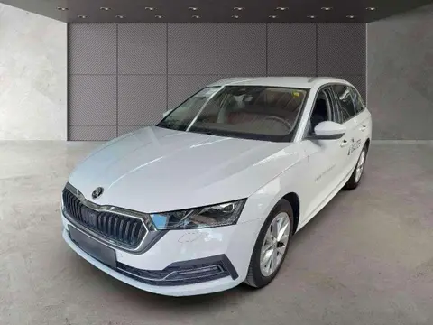 Used SKODA OCTAVIA Diesel 2021 Ad 