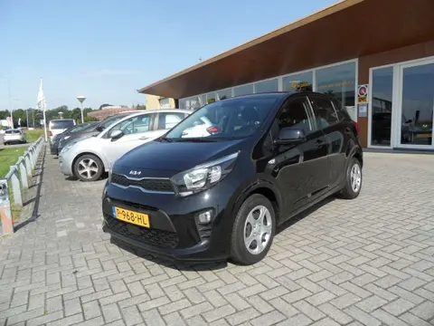 Used KIA PICANTO Petrol 2022 Ad 