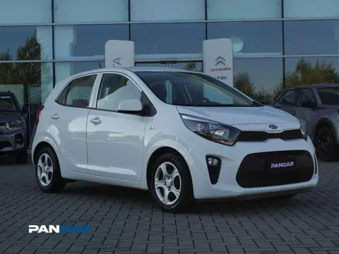 Annonce KIA PICANTO GPL 2019 d'occasion 