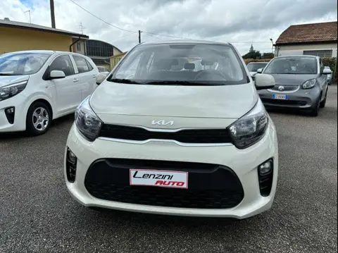 Used KIA PICANTO Petrol 2023 Ad 