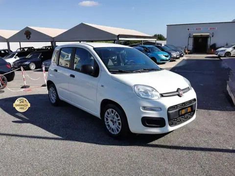 Used FIAT PANDA Hybrid 2021 Ad 