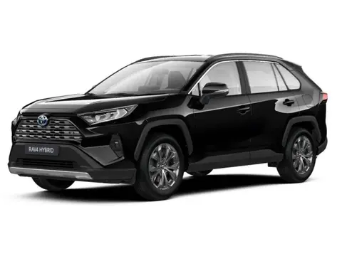 Annonce TOYOTA RAV4 Hybride 2024 d'occasion Allemagne