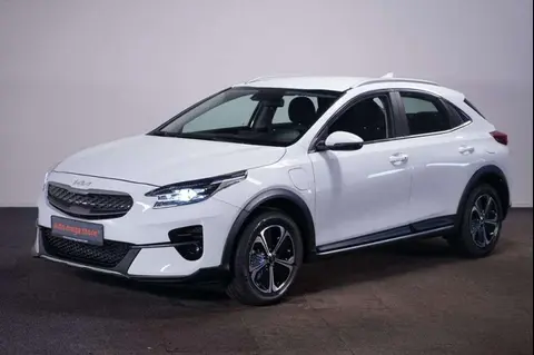 Annonce KIA XCEED Hybride 2022 d'occasion 