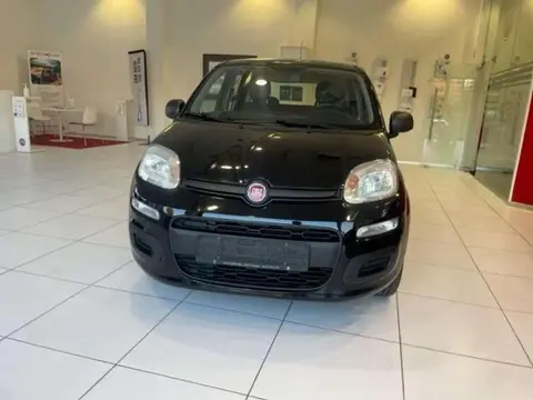 Used FIAT PANDA Petrol 2016 Ad 