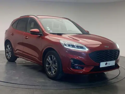 Annonce FORD KUGA Hybride 2020 d'occasion 