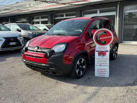 Used FIAT PANDA Hybrid 2024 Ad 