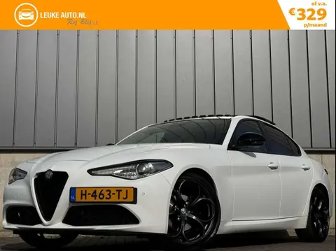 Used ALFA ROMEO GIULIA Petrol 2019 Ad 