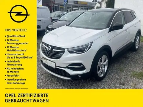 Used OPEL GRANDLAND Diesel 2019 Ad 