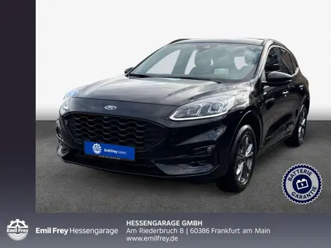 Annonce FORD KUGA Hybride 2023 d'occasion 