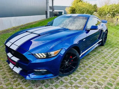 Used FORD MUSTANG Petrol 2015 Ad 