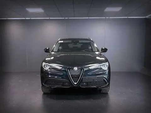 Used ALFA ROMEO STELVIO Petrol 2021 Ad 