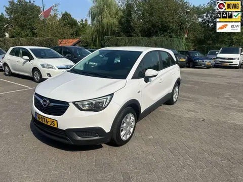 Used OPEL CROSSLAND Petrol 2020 Ad 