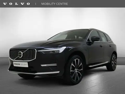 Annonce VOLVO XC60 Hybride 2023 d'occasion 