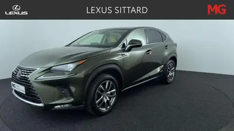 Used LEXUS NX Hybrid 2021 Ad 